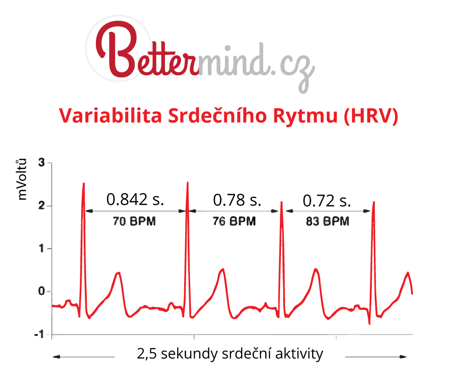 variabilita srdečního rytmu
